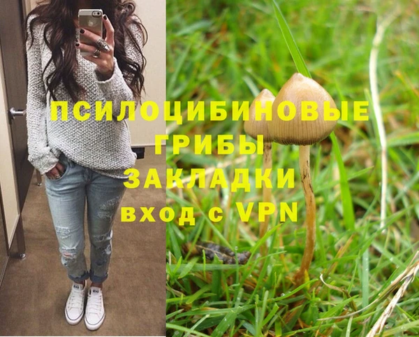 винт Новодвинск