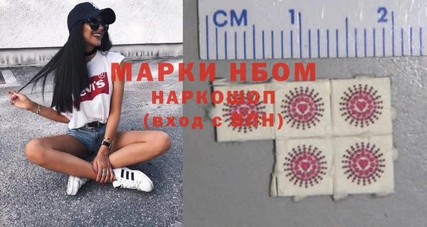 прущие грибы Нефтекумск