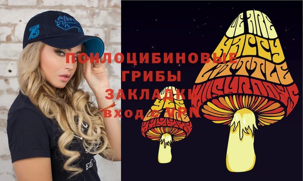 MDMA Новозыбков