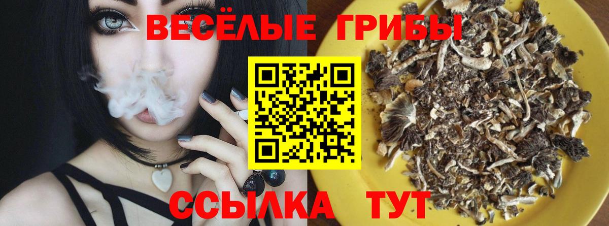 Псилоцибиновые грибы прущие грибы  Галлюциногенные грибы Cubensis  Вход с VPN  Качканар 