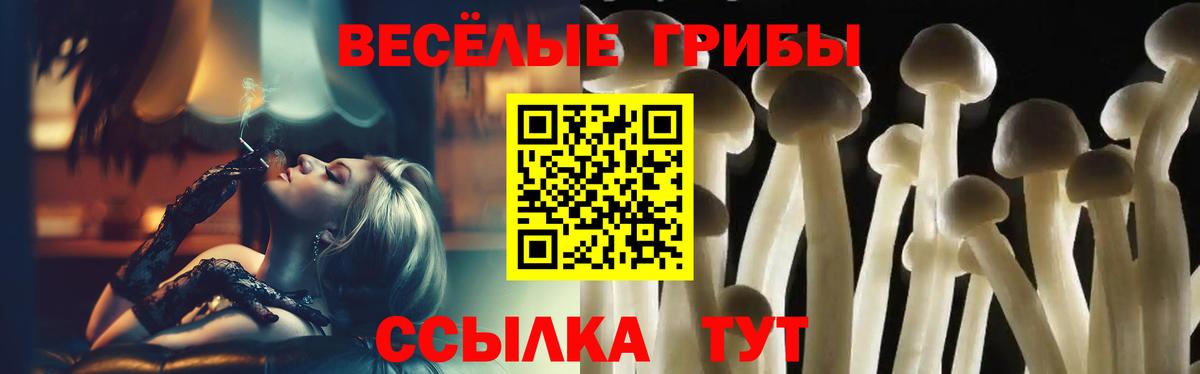 Галлюциногенные грибы GOLDEN TEACHER Качканар